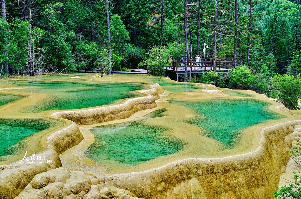 四川九寨沟：全域旅游发展形成新格局【5】