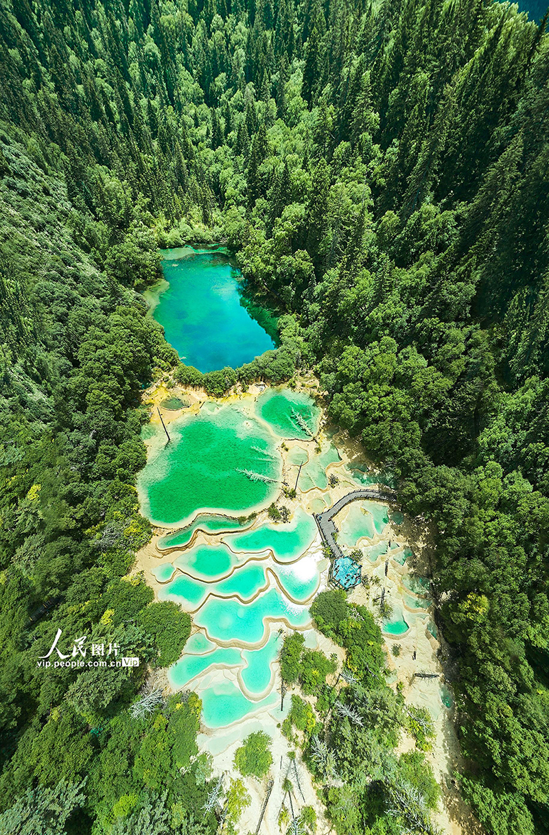 四川九寨沟：全域旅游发展形成新格局【7】