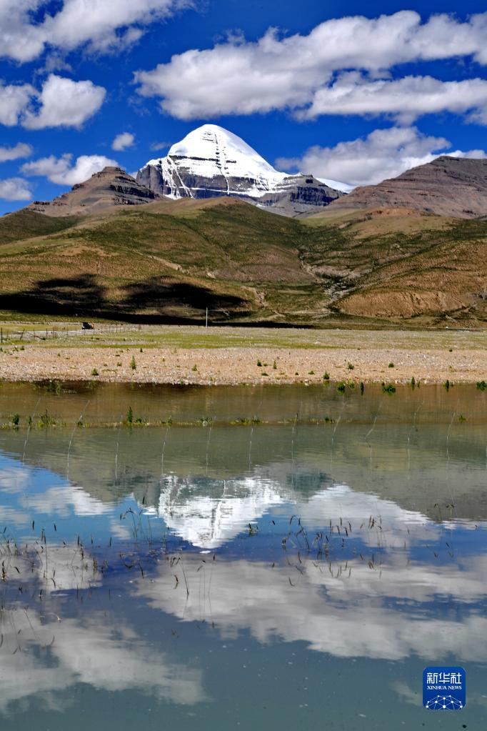 西藏阿里:高原夏日生机盎然