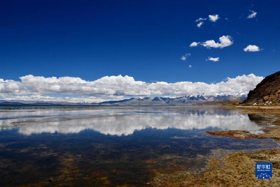 西藏阿里:高原夏日生机盎然