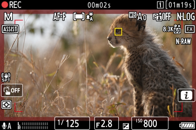 尼康发布截至2023年3月财年一季度财报 尼康发布截至2023年3月财年一季度财报