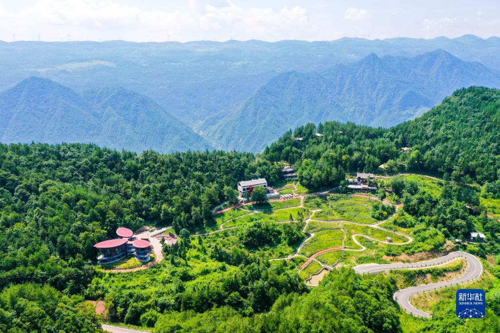 重庆万州:“美丽经济”助推乡村振兴