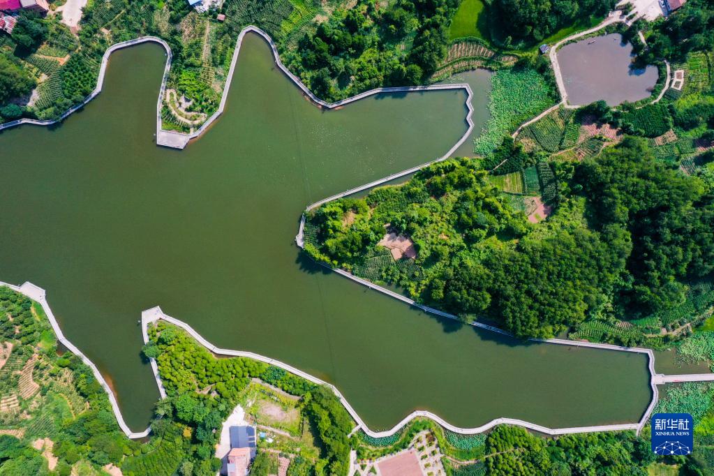 重庆万州:“美丽经济”助推乡村振兴