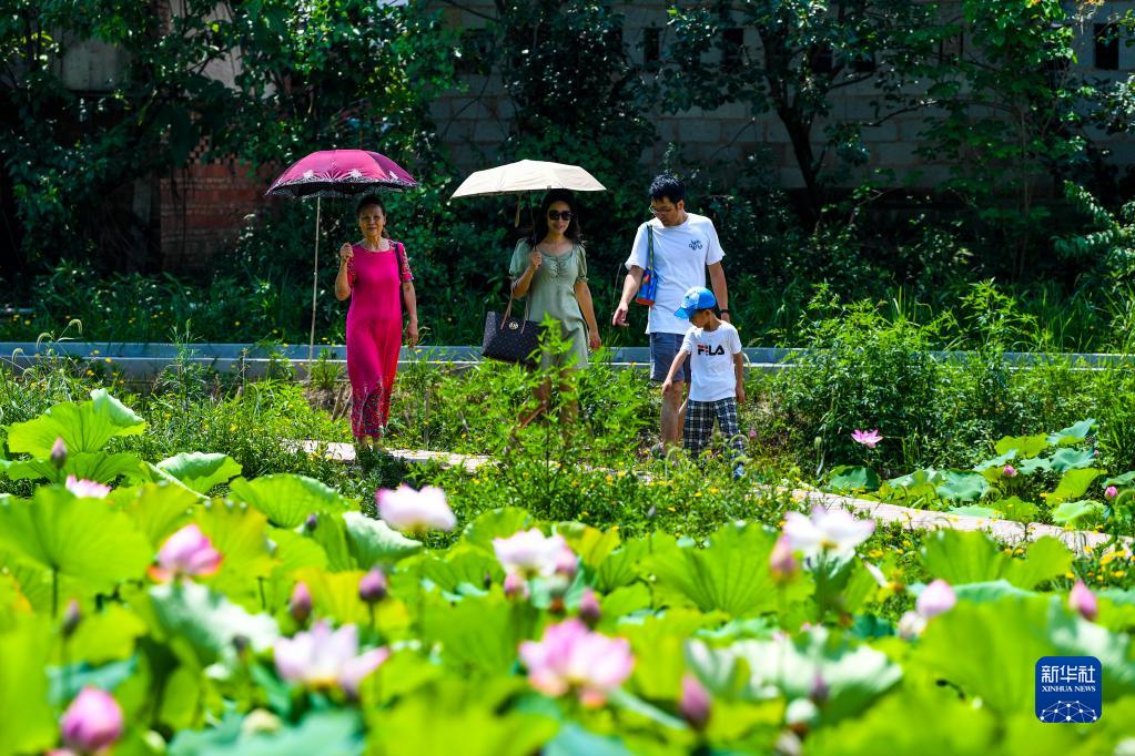 重庆万州:“美丽经济”助推乡村振兴