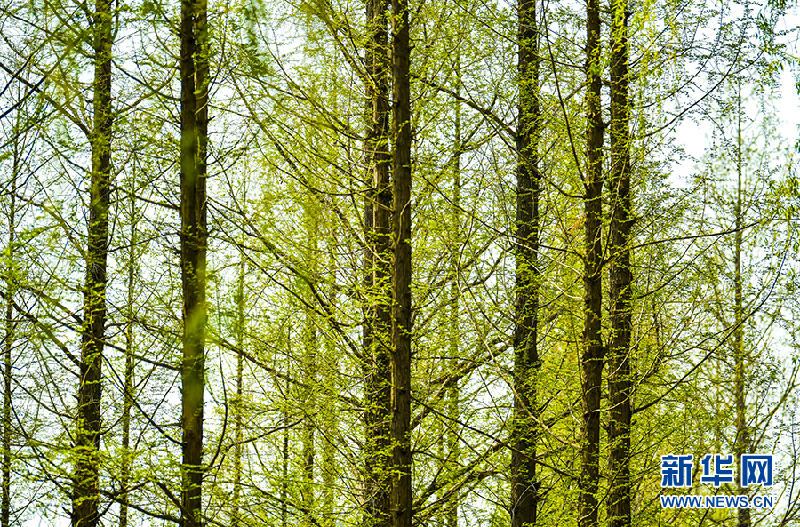 【光影轻课堂】如何运用线条增加摄影美感？