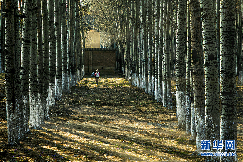 【光影轻课堂】如何运用线条增加摄影美感？