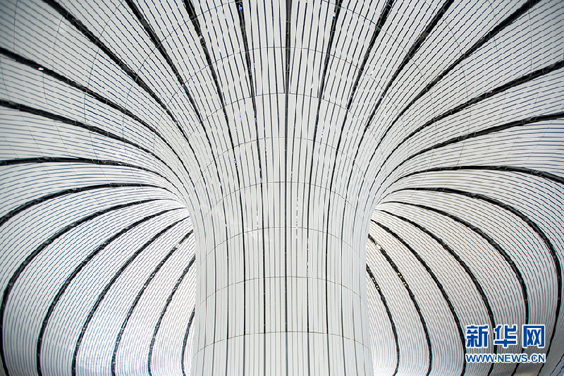 【光影轻课堂】如何运用线条增加摄影美感？