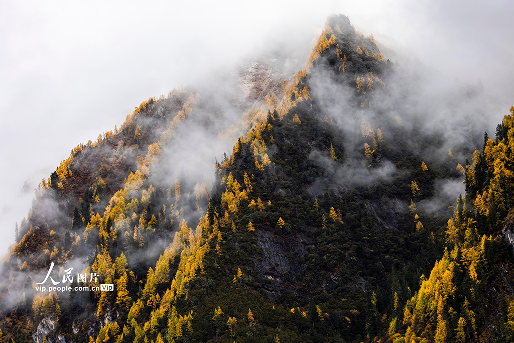 四姑娘山景区秋色如画