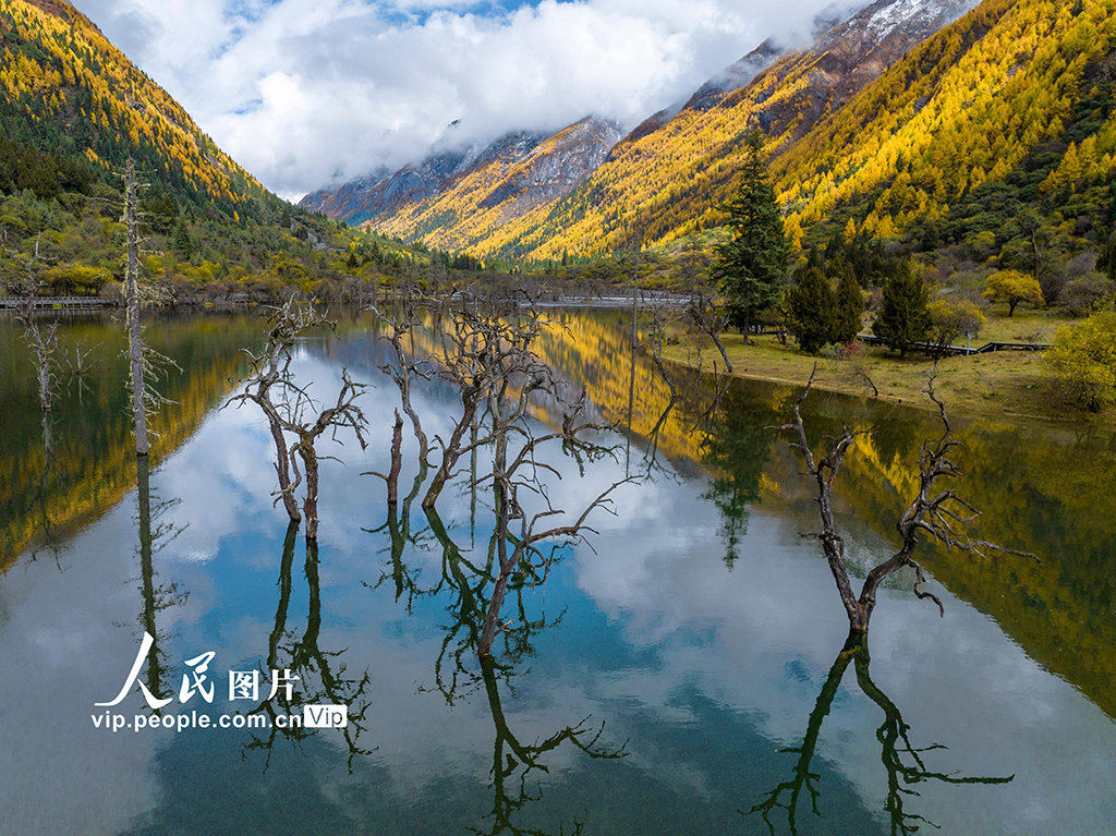 四姑娘山景区秋色如画