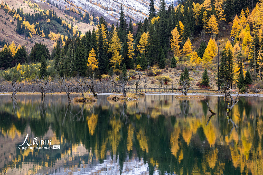 四姑娘山景区秋色如画