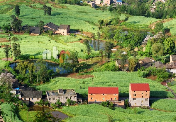 王立兵:享受光影与文字的清闲与快乐