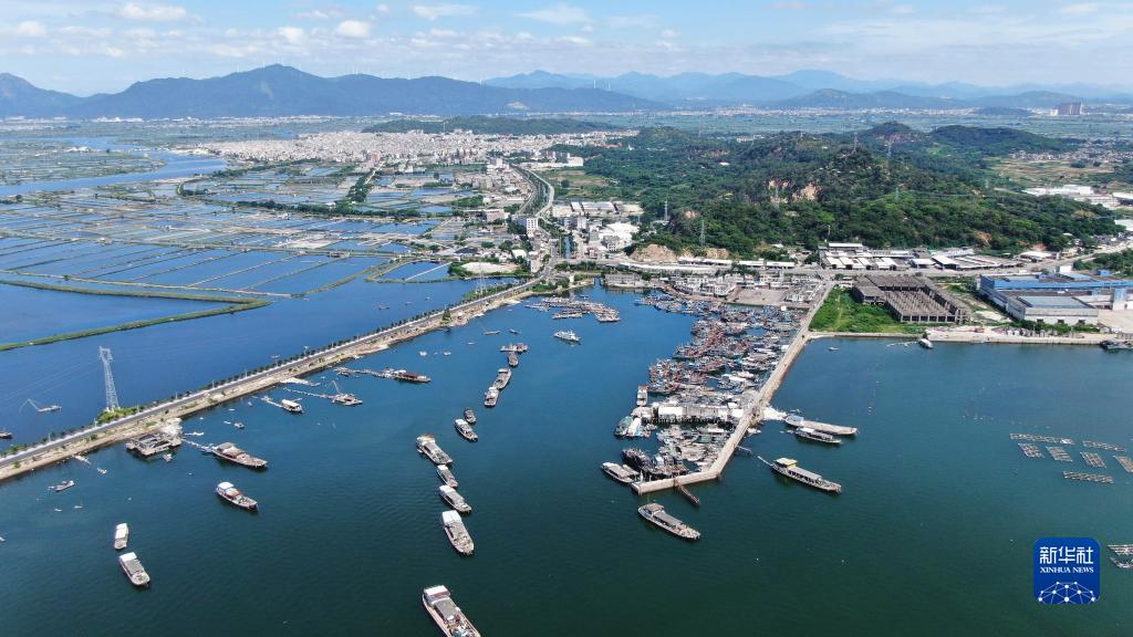 广东饶平:水产养殖谱写现代“海洋牧歌”