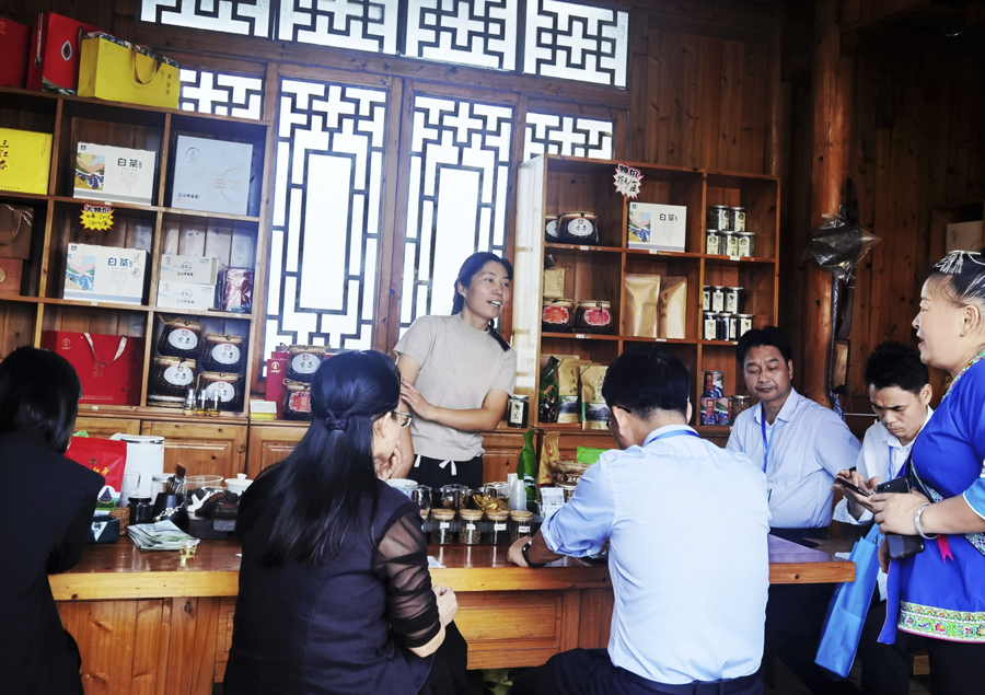 广西柳州:茶香侗情 景色迷人 广西柳州:茶香侗情 景色迷人