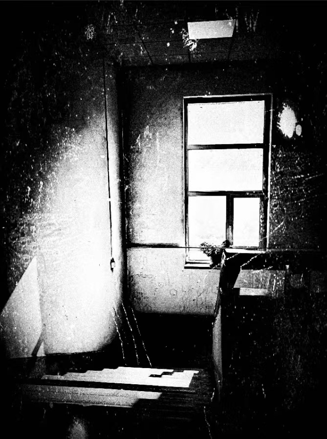 驭光捕影，摄影人永恒的追求