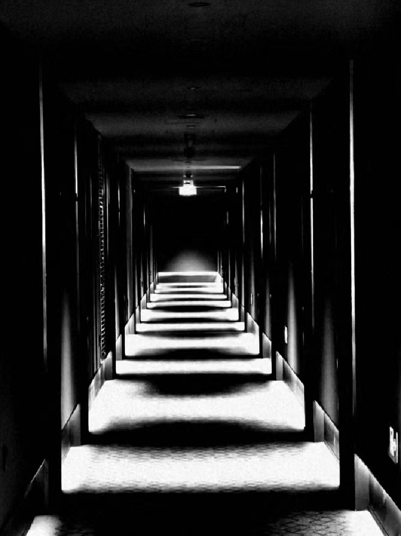 驭光捕影，摄影人永恒的追求