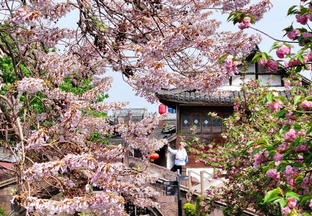 铸魂砺镜:马克思主义新闻观引领新时代影像实践