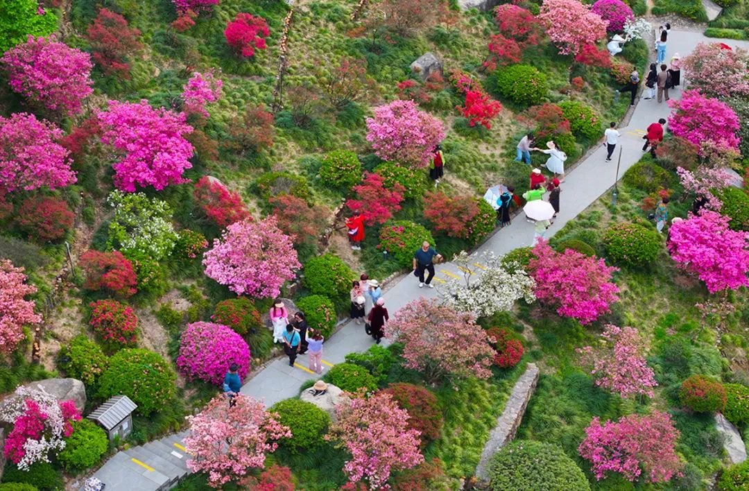铸魂砺镜:马克思主义新闻观引领新时代影像实践