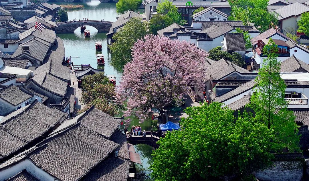 铸魂砺镜:马克思主义新闻观引领新时代影像实践