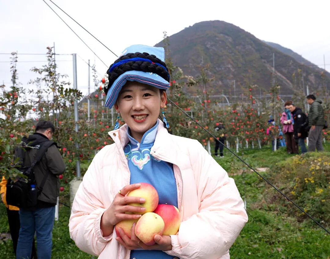 四川茂县:苹果产业助力乡村振兴