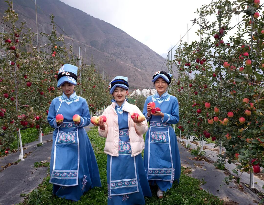 四川茂县:苹果产业助力乡村振兴