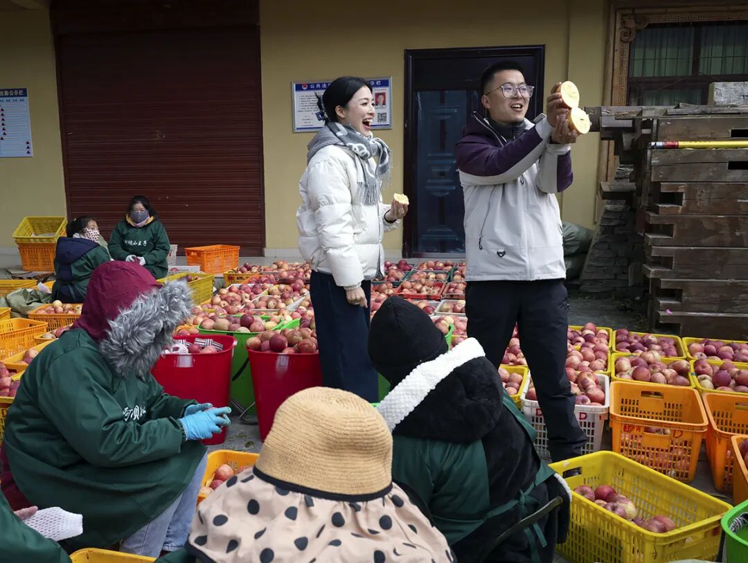 摘苹果的时候 摘苹果的时候