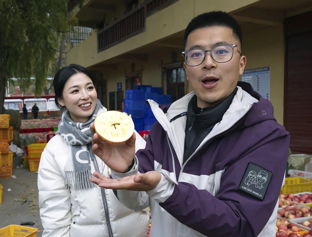 摘苹果的时候 摘苹果的时候