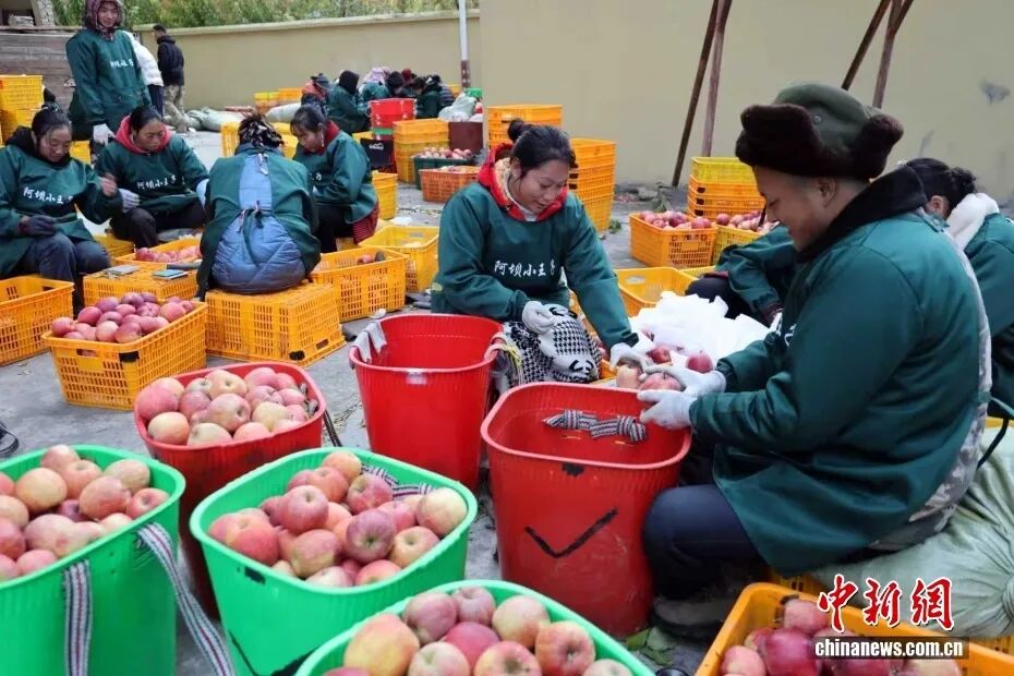 摘苹果的时候 摘苹果的时候