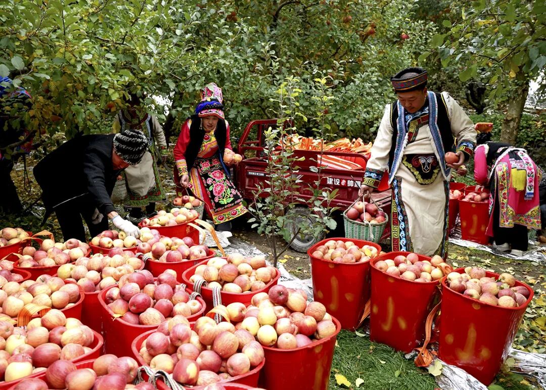 摘苹果的时候 摘苹果的时候