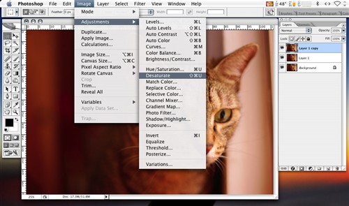 再Commend J复制一个黑白图层，一样从最上的图层开始