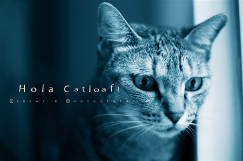 完成了图片基本的色调后，就可以加上我们想要的标题