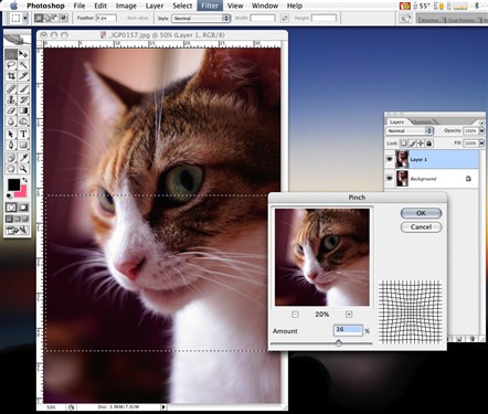 然后就会出现这个框，往右拉会越缩越小