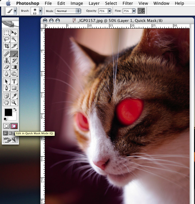 这个步骤是要让眼睛闪亮有神，在左边工具列的下面有一个东西叫做快速遮罩模式