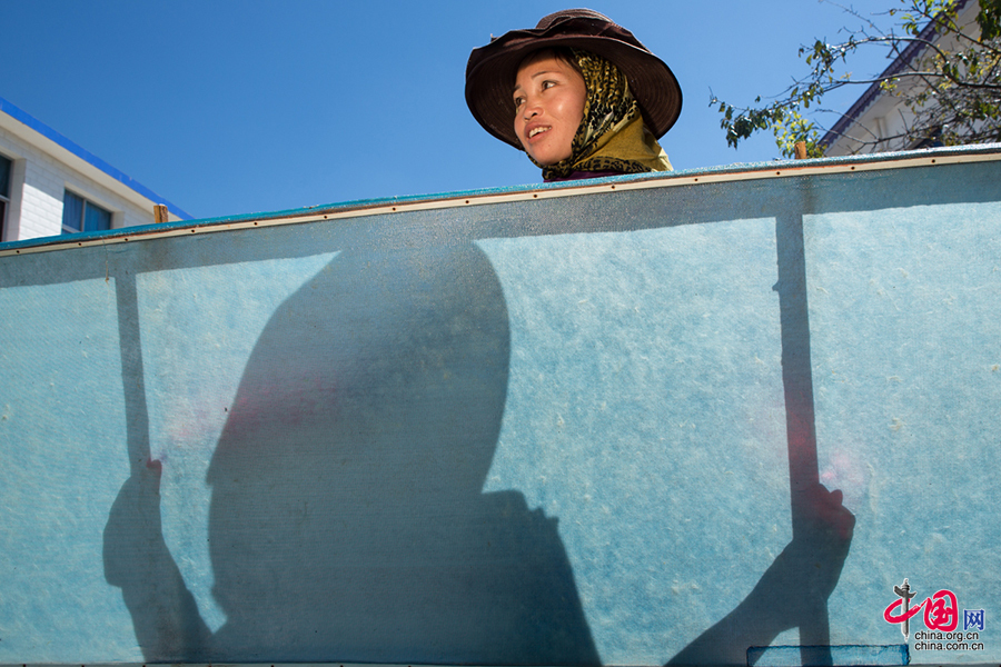 傣纸工艺:来自西双版纳的古老造纸术