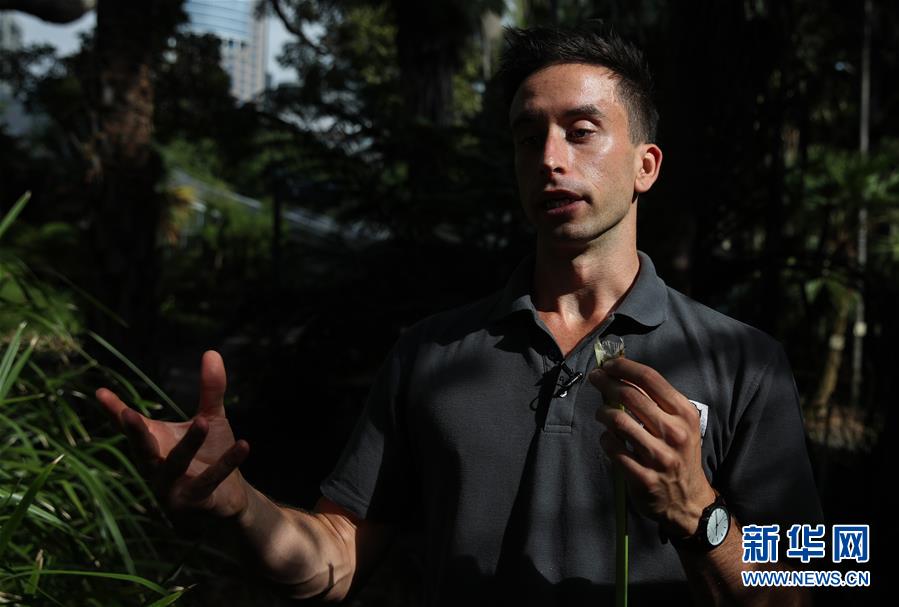 （国际·图文互动）（1）通讯：繁华都市中的原住民文化守望者