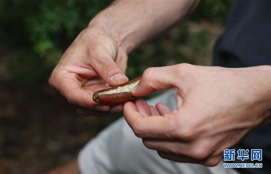 （国际·图文互动）（6）通讯：繁华都市中的原住民文化守望者