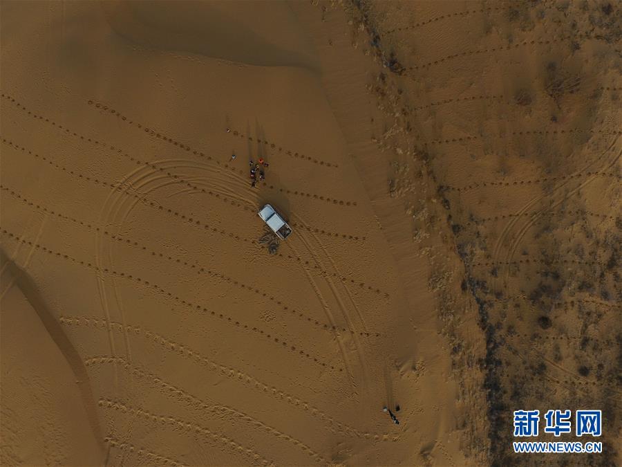 （生态）（5）种植沙柳治沙漠