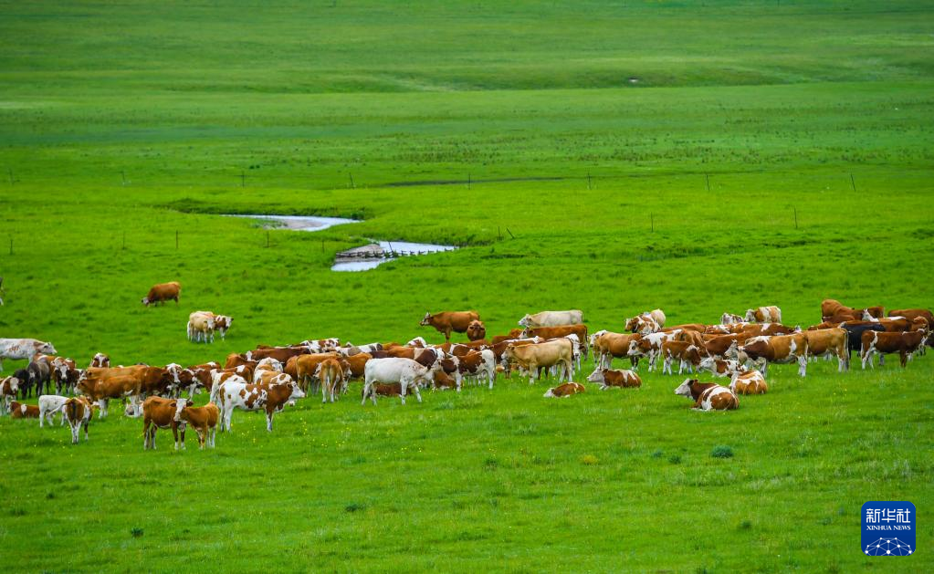 飞“阅”视角看天下 飞“阅”视角看天下
