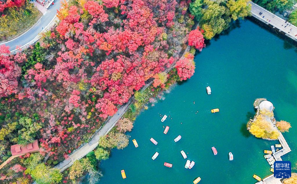 漫山斑斓 层林尽染