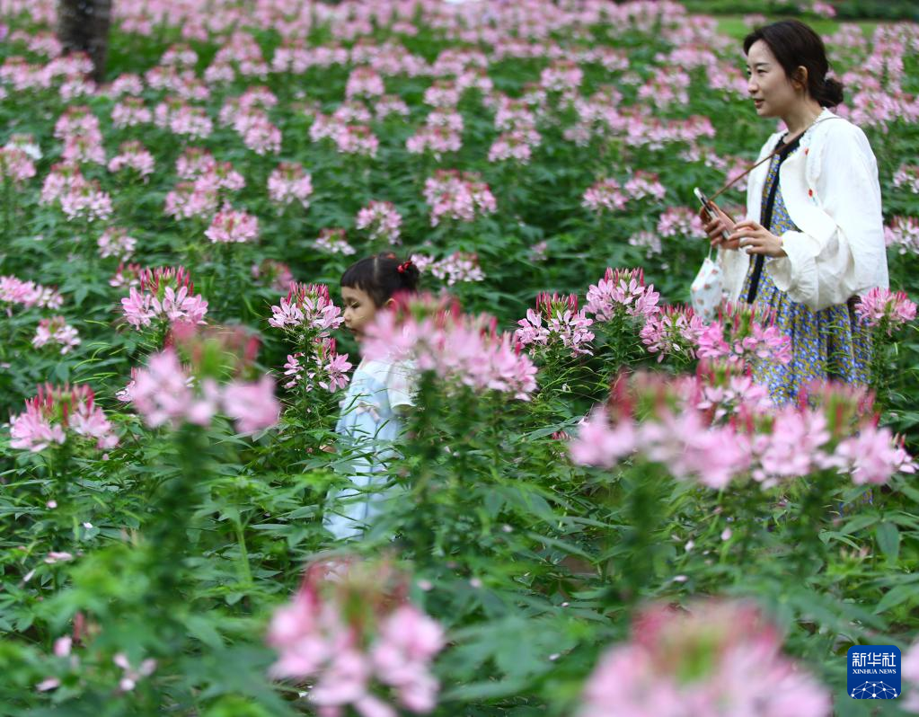 足不出户！镜头带你乐享各地多彩假期