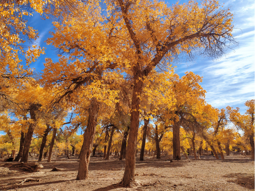 “大美中国 气象万千”主题宣传活动作品征集 “大美中国 气象万千”主题宣传活动作品征集