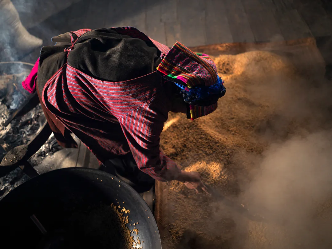 青稞酿咂酒 喜迎羌历年 图片